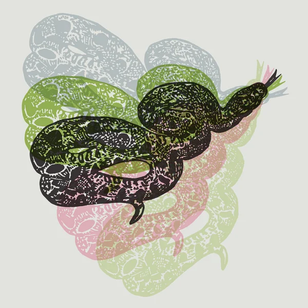 Linocut tropical Boa Constrictor serpent sur fond — Image vectorielle