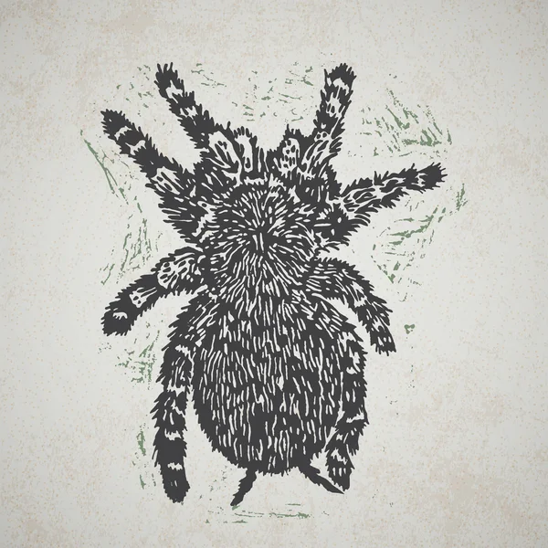 Λάινο Tarantula σε φόντο — Διανυσματικό Αρχείο