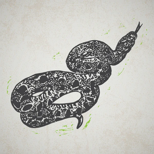 Linocut tropicale Boa costrittore serpente sullo sfondo — Vettoriale Stock