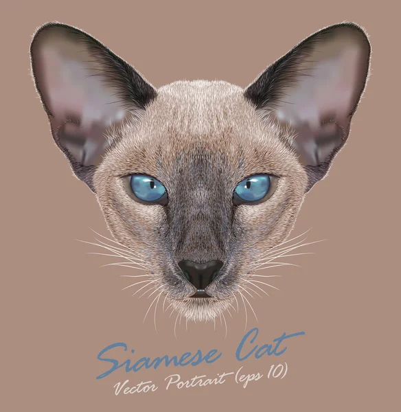 Siamés gato animal lindo cara. Vector divertido oriental gatito cabeza retrato. Retrato realista de piel de siam kitty aislado sobre fondo beige . — Archivo Imágenes Vectoriales