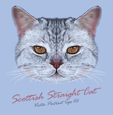 stock vector