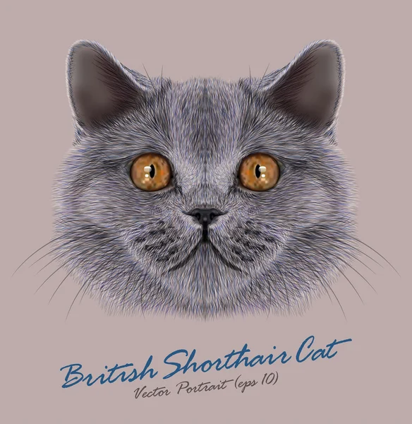 Brittiskt korthall katt djur söta ansikte. Vector lycklig silver brittiskt katt unge huvud porträtt. Realistiska päls porträtt av brittiska Cooper ögon Kitty isolerad på grå bakgrund. — Stock vektor