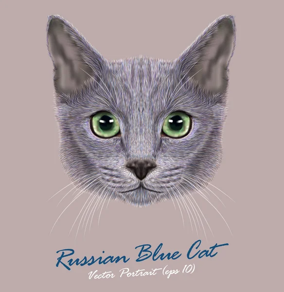 Rusa azul gato animal lindo cara. Vector feliz gatito plata cabeza retrato. Realista retrato de piel gris de ojos verdes rusos gatito aislado sobre fondo gris . — Archivo Imágenes Vectoriales