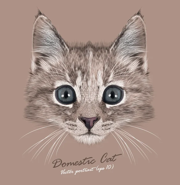 Gatito animal linda cara. Vector divertido color tortuga gato cabeza retrato. Retrato realista de piel de gatito hembra aislado sobre fondo beige . — Archivo Imágenes Vectoriales