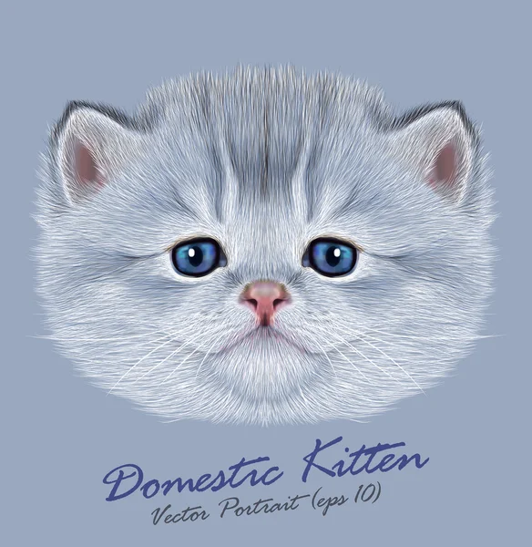 Gatito animal linda cara. Vector divertido pequeño retrato de cabeza de gato. Retrato realista de piel de gatito plateado aislado sobre fondo azul . — Vector de stock