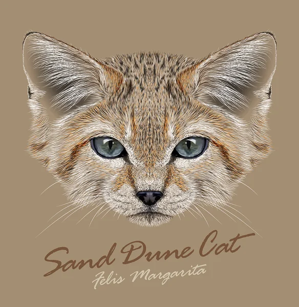 Sand katt djur ansikte. Felis margarita. Vector afrikanska asiatiska söt vilda sanddyn kattunge huvud porträtt. Realistiska fur porträtt av öken kitty isolerad på beige bakgrund. — Stock vektor