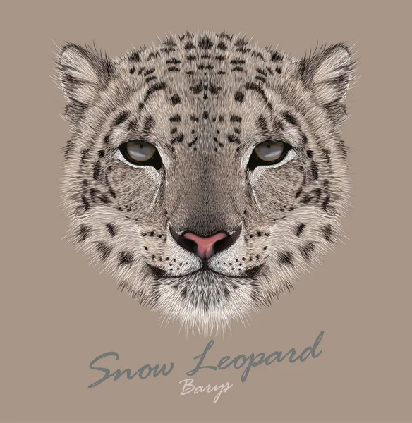 Snow leopard тварин милі обличчя. Вектор азіатських ІРБІС голову портрет. Реалістичний хутро портрет сніг диких плямистий пантера ізольовані на бежевому фоні. — стоковий вектор