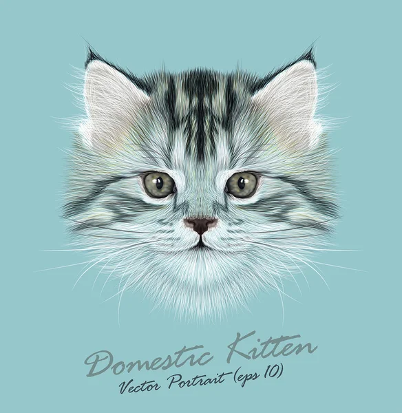 Kätzchen Tier süße Gesicht. Vektor lustige Katzenkopf-Porträt. realistisches Porträt der kleinen grauen Miezekatze isoliert auf blauem Hintergrund. — Stockvektor