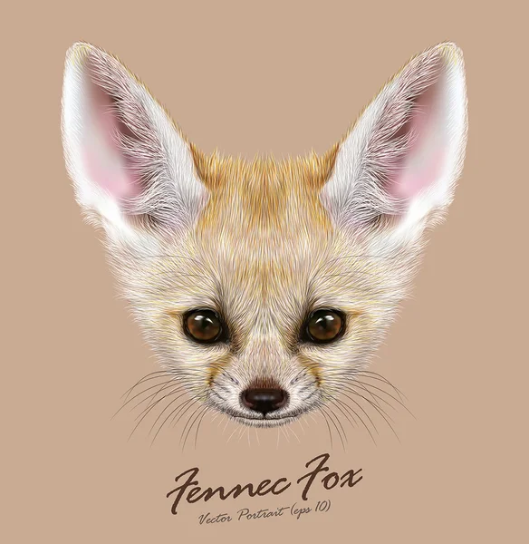Fennec fox djur söta ansikte. Vector asiatiska, afrikanska, arabiska vit fennec fox huvud porträtt. Realistiska fur porträtt av desert fox isolerade på tan bakgrund. — Stock vektor