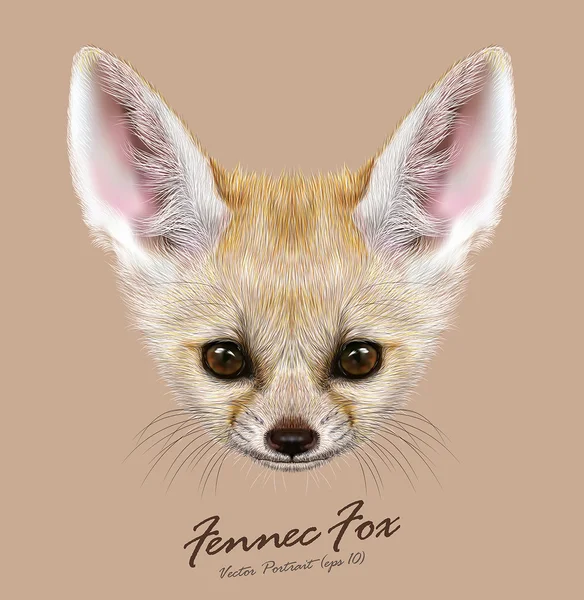 Fennec raposa animal bonito rosto. Vetor asiático, africano, árabe branco fennec raposa cabeça retrato. Retrato de pele realista de raposa do deserto isolado no fundo bronzeado . — Vetor de Stock