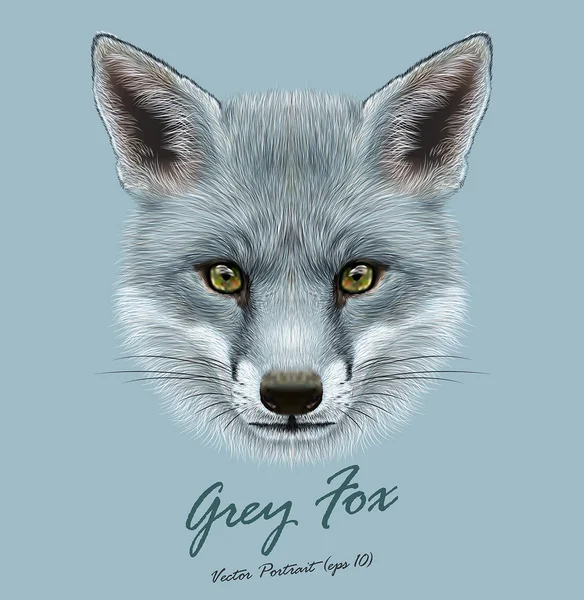 Fox animal face. Vector cute grey head. Realistic winter fur grey wild fox portrait on blue background. — Stock Vector