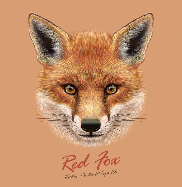 Cara de animal Fox. Vector linda cabeza roja. Realista piel de invierno rojo zorro salvaje retrato sobre fondo naranja . — Vector de stock