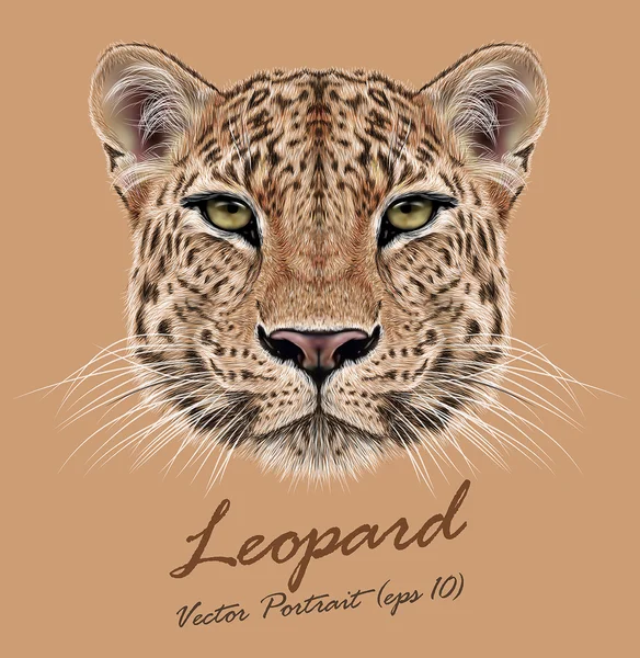 Leopard animal face. Vector African, Asian wild cat head portrait. Realistic fur portrait of exotic leopard isolated on beige background. — Stock Vector