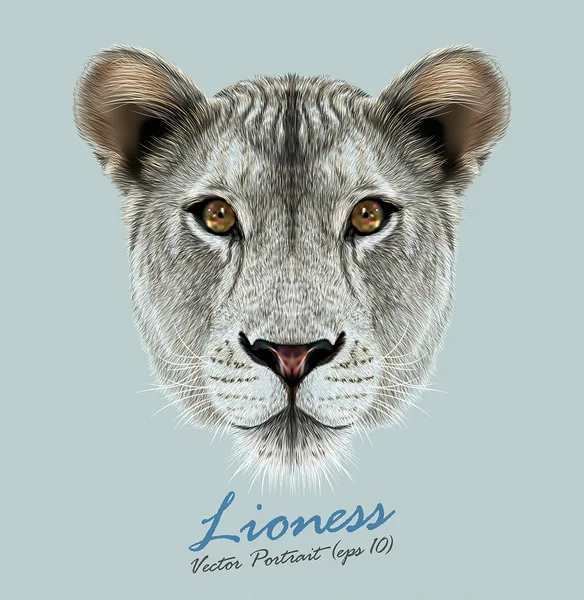 Lioness animal cute face. Vector African wild lion cat head portrait. Realistic fur portrait of lioness isolated on blue background. — Stock Vector