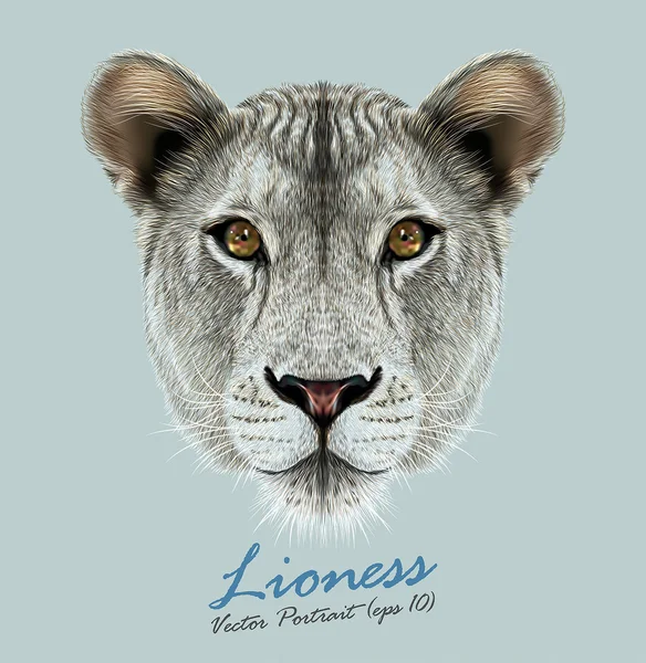 Cara linda animal leona. Vector africano salvaje león gato cabeza retrato. Retrato realista de piel de leona aislada sobre fondo azul . — Vector de stock