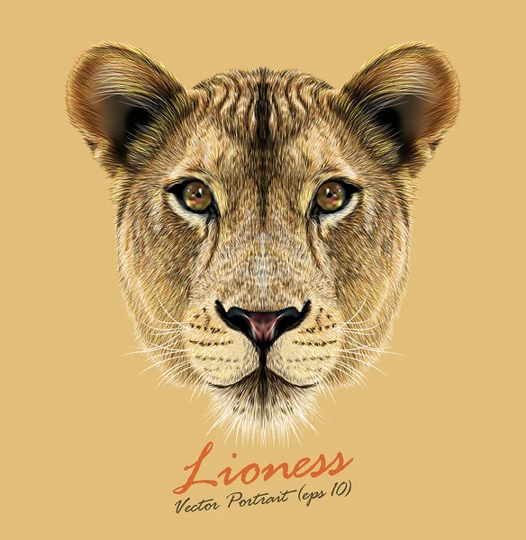 Lioness animal cute face. Vector African wild lion cat head portrait. Realistic fur portrait of lioness isolated on beige background. — Stock Vector