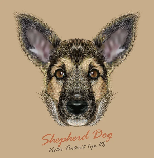 Shepherd Dog animal cute face. Vector funny german shepherd puppy head portrait. Realistic adorable fur portrait of Shepherd police dog isolated on beige background. — Stock Vector