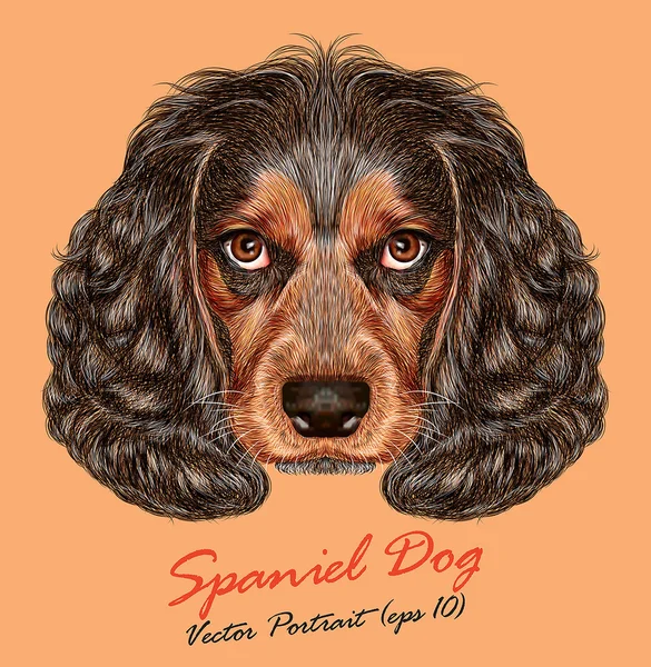 Russian spaniel animal dog cute face. Vector copper purebred hunting spaniel puppy head portrait. Realistic fur portrait of Russian spaniel dog isolated on orange background.