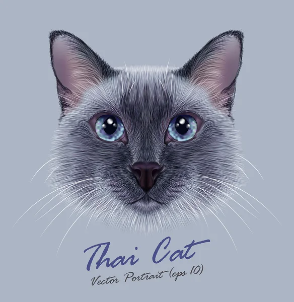 Siamés gato animal lindo cara. Vector divertido gato feliz cabeza retrato. Retrato realista de piel del gatito de punto azul tailandés aislado sobre fondo gris . — Vector de stock