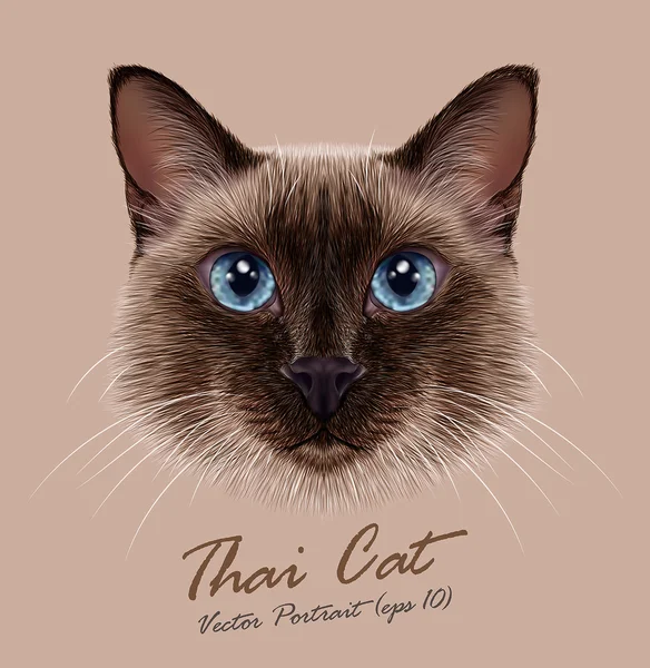 Siamés gato animal lindo cara. Vector divertido gato feliz cabeza retrato. Retrato realista de piel de gatito tailandés aislado sobre fondo beige . — Archivo Imágenes Vectoriales