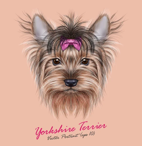 Yorkshire terrier Dog animal cute face. Vector adorable happy Yorkshire girl puppy head portrait with bow accessory. Realistic funny fur portrait of Yorkshire dog isolated on beige background. — Stock Vector