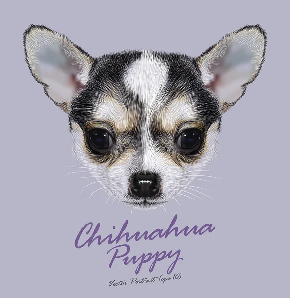 Zwierzęta Pies Chihuahua cute twarz. Wektor czarno-białe nakrapiane chihuahua puppy głowy portret. Portret realistyczny futro rasowe chihuahua pieska na niebieskim tle. — Wektor stockowy