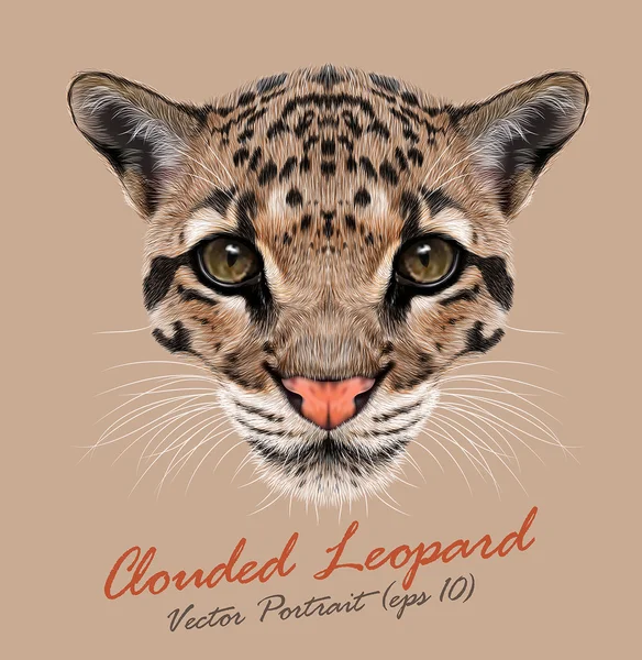 Clouded Leopard animal face. Vector Asian, Indochina, Malaysian big cat head portrait. Realistic fur beast of Clouded leopard. Predator eyes of wildcat. Big cat head isolated on beige background. — Stock Vector