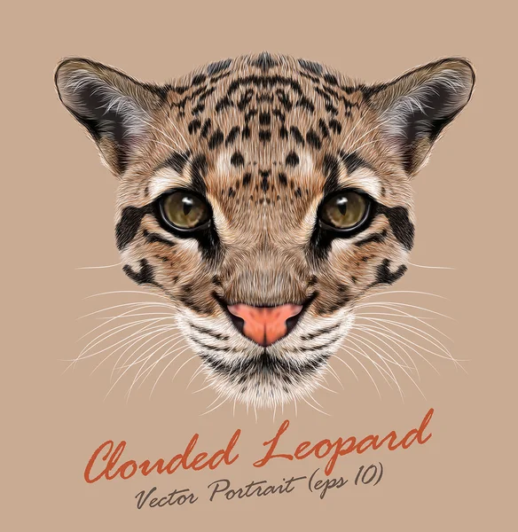 Cara de animal Leopardo nublada. Vetor asiático, Indochina, retrato malaio da cabeça de gato grande. Besta de pele realista de leopardo Nublado. Olhos de predador de gato selvagem. Grande cabeça de gato isolado no fundo bege . —  Vetores de Stock