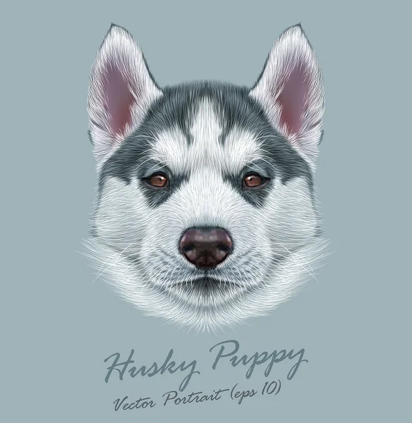 Husky animale cane viso carino. Vector Alaskan ritratto testa di cucciolo. Realistico ritratto in pelliccia di cane siberiano su sfondo grigio . — Vettoriale Stock