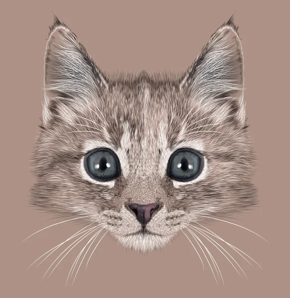 Illustration Portrait of Domestic kitten