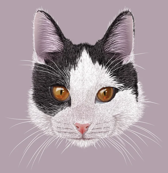 Illustration porträtt av tamkatt — Stockfoto