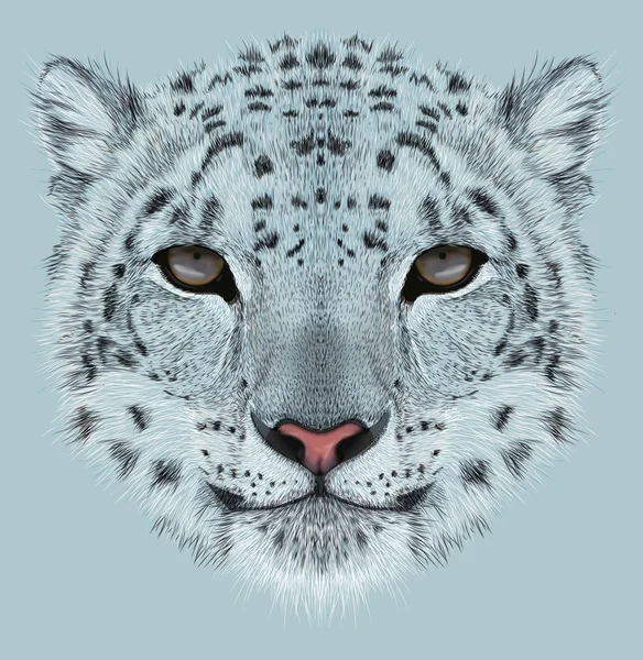 Illustrative Portrait of Snow Leopard — Stock Photo, Image