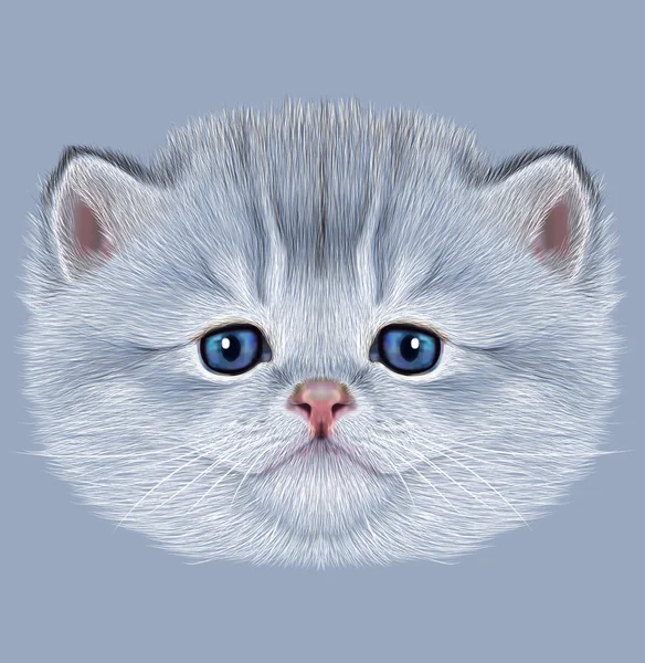 Belysande porträtt av inhemska kattunge — Stockfoto