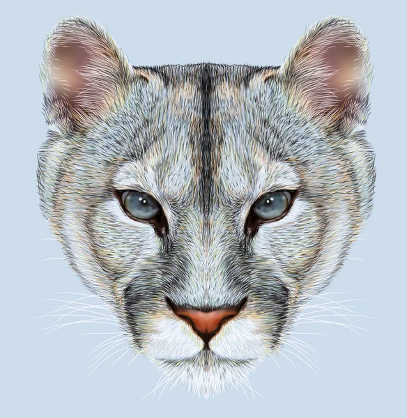 Portrait of Mountain Lion — Stock Photo, Image