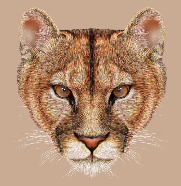 Portret mountain lion — Zdjęcie stockowe