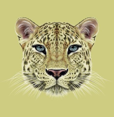 Leopar açıklayıcı portresi