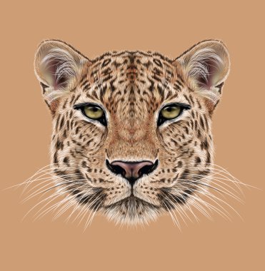 Leopar açıklayıcı portresi