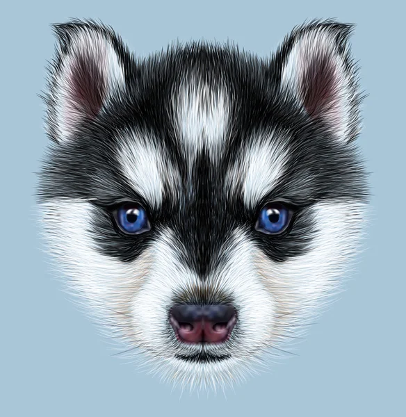 (Inggris) Illustrative Portrait of a Husky Puppy — Stok Foto