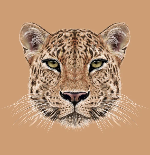 Illustrative Portrait of Leopard — Stock Photo, Image