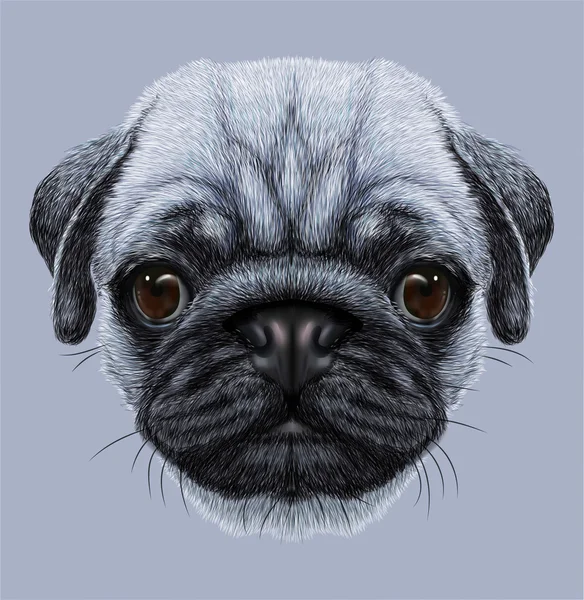 Ilustrativní portrét Pug psa — Stock fotografie