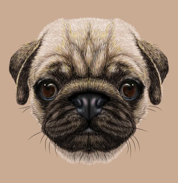 Ilustrativní portrét Pug psa — Stock fotografie