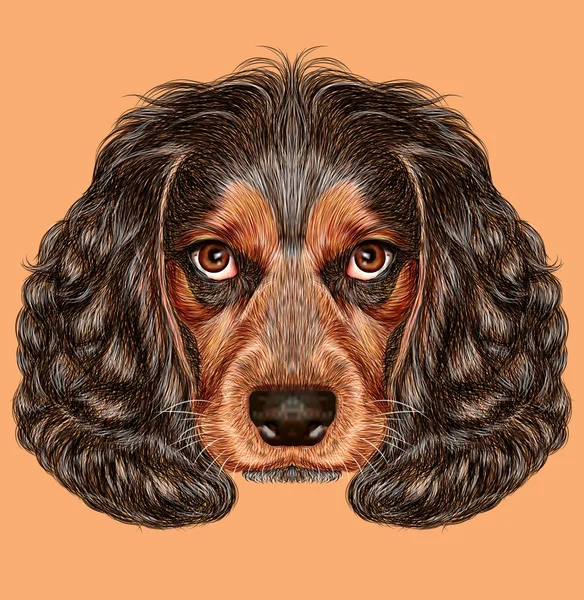 Illustrative Portrait of Spaniel Dog. — Stock Photo, Image