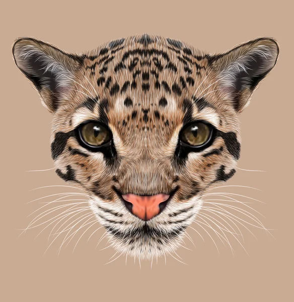 Potret Ilustrasi Leopard Berawan — Stok Foto