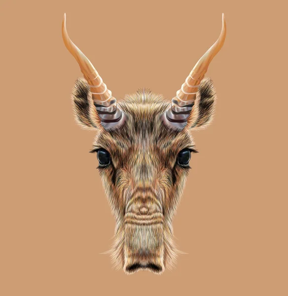 Ritratto illustrato di antilope Saiga — Foto Stock