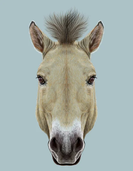 (Inggris) Illustrated Portrait of Wild Horse on blue backgrould — Stok Foto