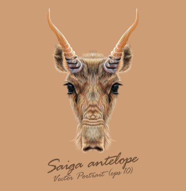 Saiga tatarica hayvan yüz. Asya, Moğol, Rus Saiga antilop boynuz baş portre vektör. Bovids ten rengi arka plan üzerinde izole Saiga sığır gerçekçi kürk portre.