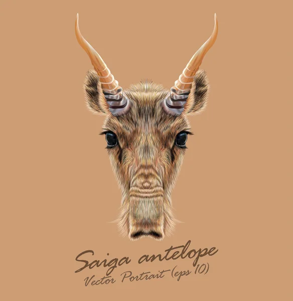 Saiga tatarica djur ansikte. Vector asiatisk, mongoliska, ryska Saiga antelope horn head porträtt. Realistiska fur porträtt av bovids Saiga nötkreatur isolerade på tan bakgrund. — Stock vektor