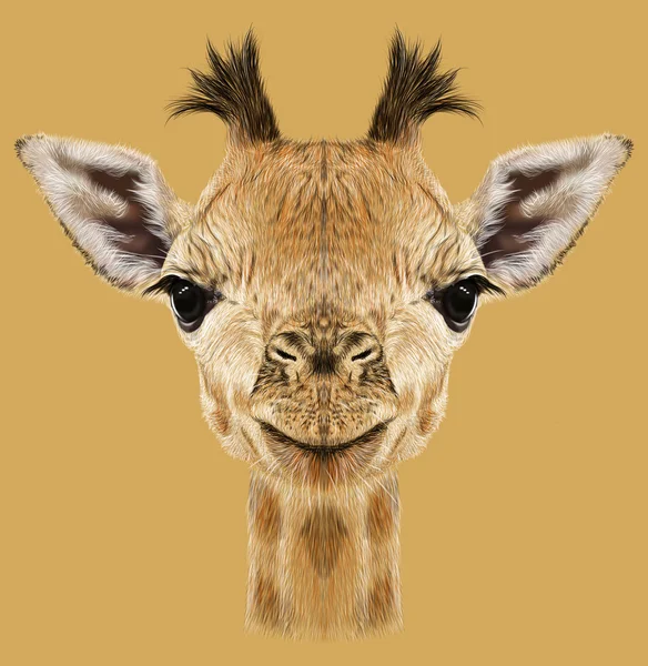 Illustrative portrait of Giraffe. — Stock Photo, Image