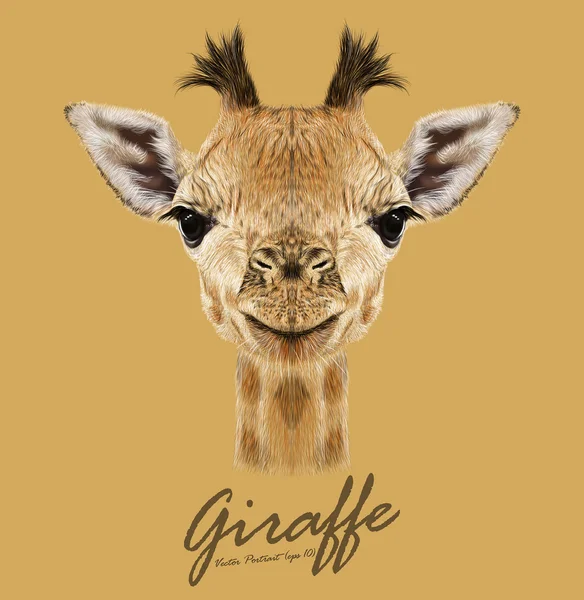 Giraffe animal face. Vector cute head of African giraffe. Realistic savannah wild fur giraffe portrait isolated on tan background. — Stock Vector