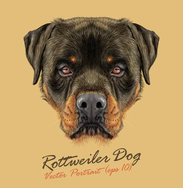 Rottweiler Dog animal strong face. Vector guard puppy head portrait. Realistic fur portrait of black and tan Rottweiler doggy isolated on tan background. — Stock Vector